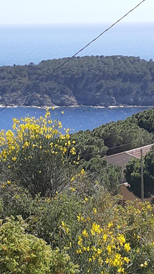 Isola D'Elba Residence La Calle מראה חיצוני תמונה