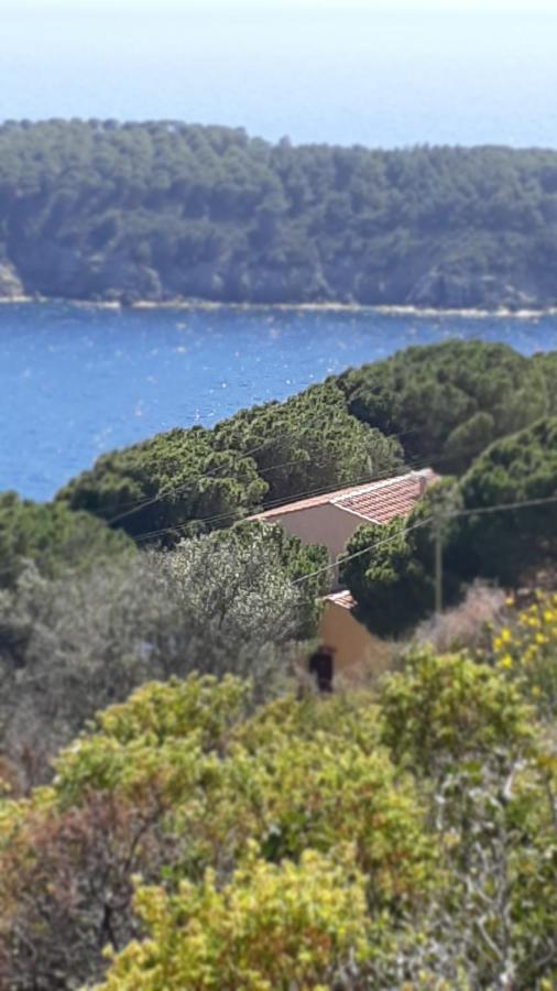 Isola D'Elba Residence La Calle מראה חיצוני תמונה