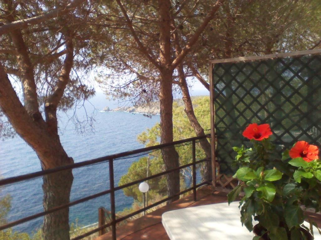 Isola D'Elba Residence La Calle מראה חיצוני תמונה